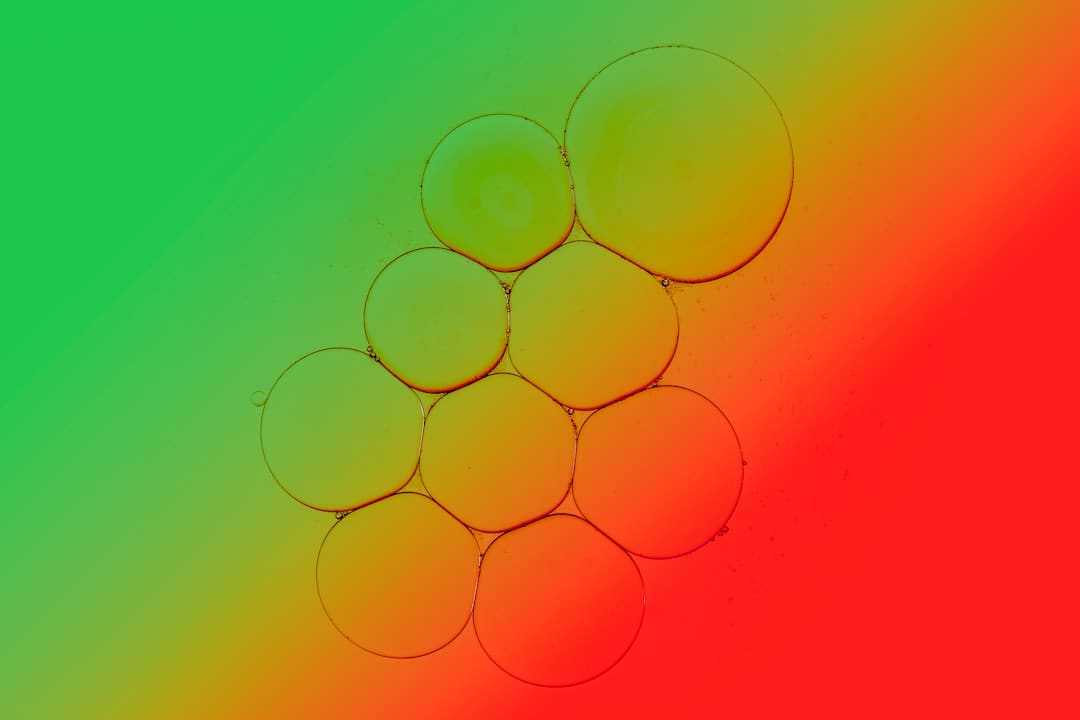 http://upload.mnw.cn/2025/0827/1756292823233.jpg